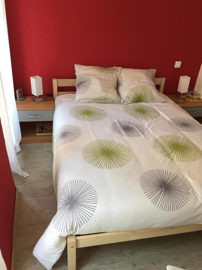 Le Cocon Apartment Bagnères-de-Luchon Екстериор снимка